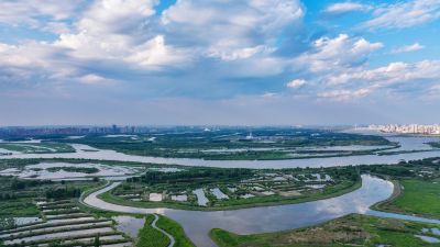 阳明滩湿地
