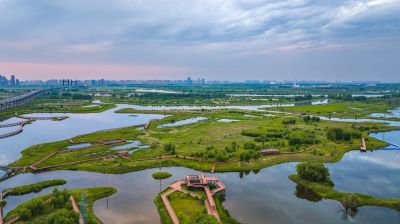 阳明滩湿地