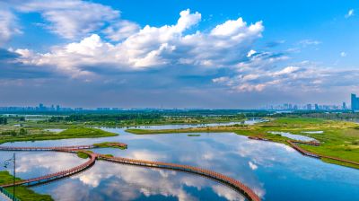 阳明滩湿地