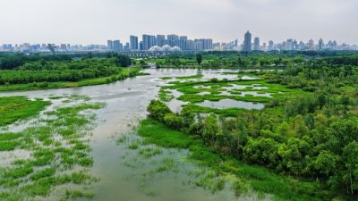 航拍夏季哈尔滨