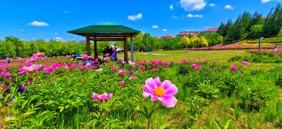 夏季哈尔滨