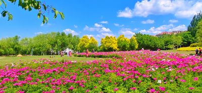 夏季哈尔滨