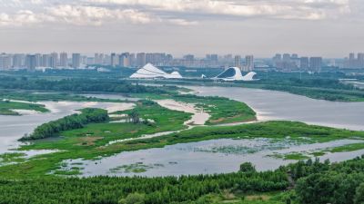 航拍 哈尔滨大剧院 大剧院湿地