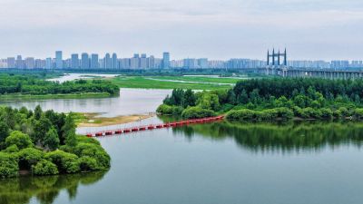 航拍群力外滩湿地