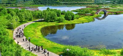 群力外滩湿地美景