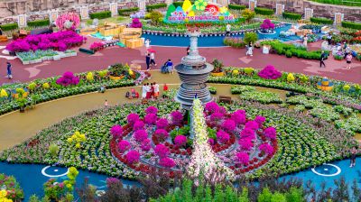 香坊首届百花展