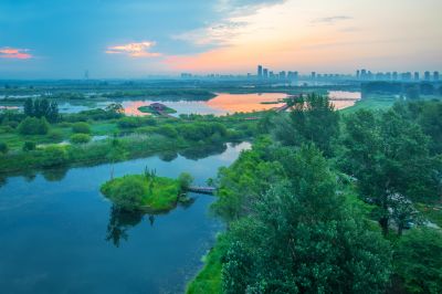 阳明滩湿地晨光