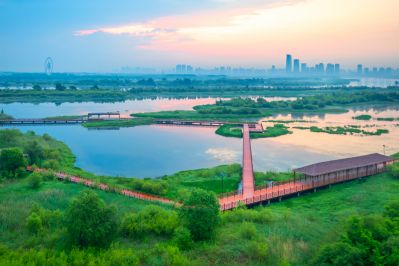 阳明滩湿地晨光