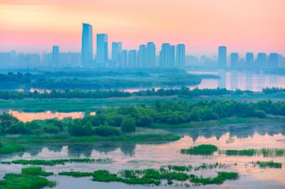 阳明滩湿地晨光