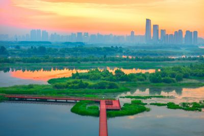 阳明滩湿地晨光