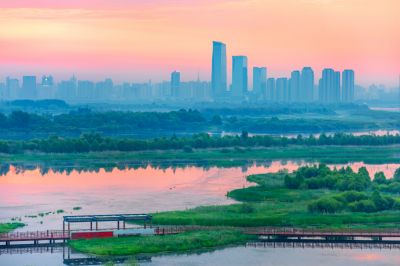 阳明滩湿地晨光