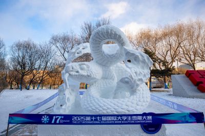 工程大学雪雕