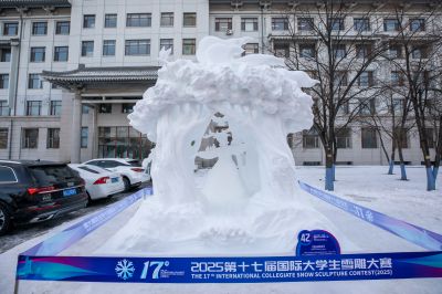工程大学雪雕