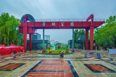 雨后的劳动公园百花展