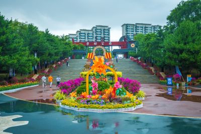 雨后的劳动公园百花展
