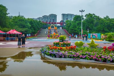 雨后的劳动公园百花展