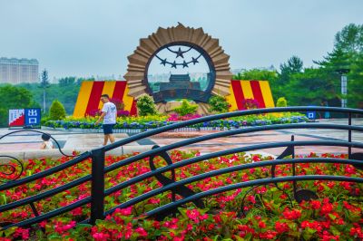 雨后的劳动公园百花展