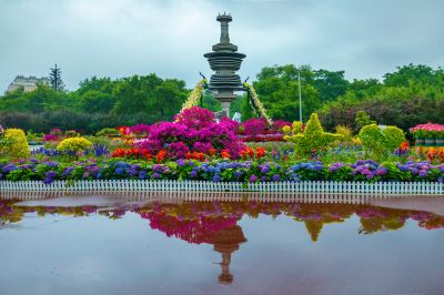 雨后的劳动公园百花展