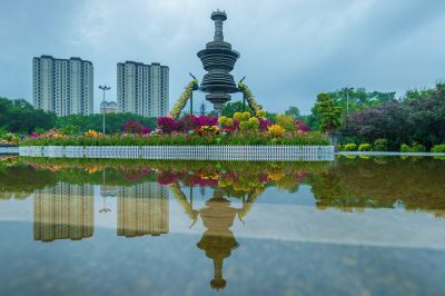 雨后的劳动公园百花展