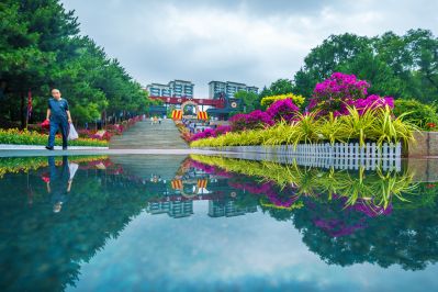 雨后的劳动公园百花展