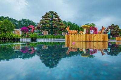 雨后的劳动公园百花展