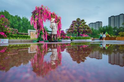 雨后的劳动公园百花展