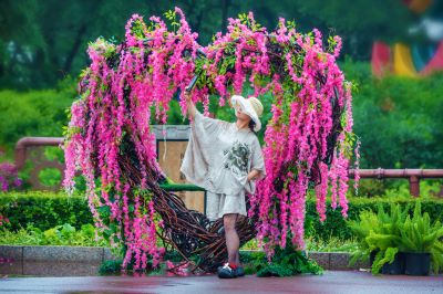 雨后的劳动公园百花展