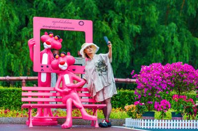 雨后的劳动公园百花展