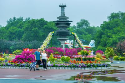 雨后的劳动公园百花展
