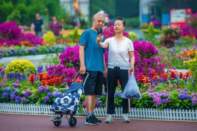 雨后的劳动公园百花展